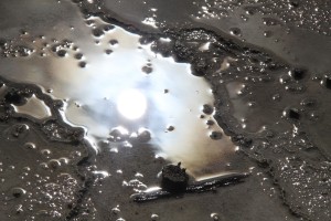Reflections and mud 60x80 cm Foto på lærred 5120 kr.