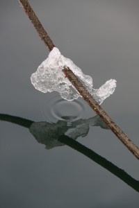 Ice and reflections 60x80 cm Foto på lærred 5120 kr.